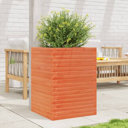 vidaXL plantekasse 50x50x68,5 cm massivt fyrretræ gyldenbrun