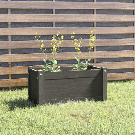 vidaXL plantekasse 60x31x31 cm massivt fyrretræ grå