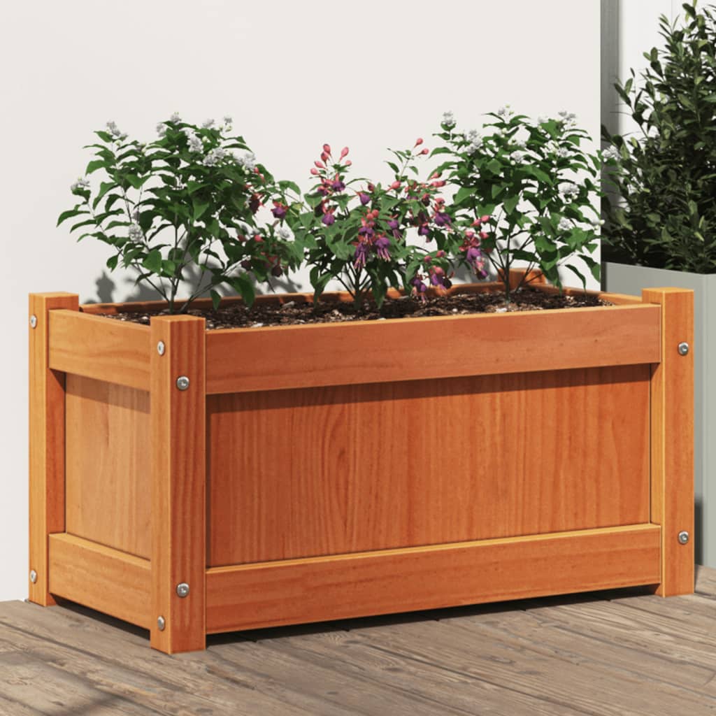 vidaXL plantekasse 60x31x31 cm massivt fyrretræ gyldenbrun vidaXL plantekasse 60x31x31 cm massivt fyrretræ gyldenbrun