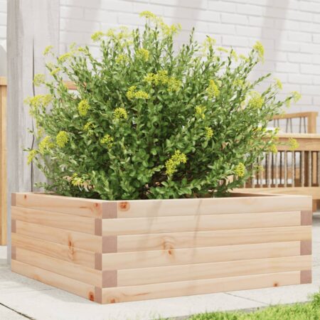 vidaXL plantekasse 60x60x23 cm massivt fyrretræ