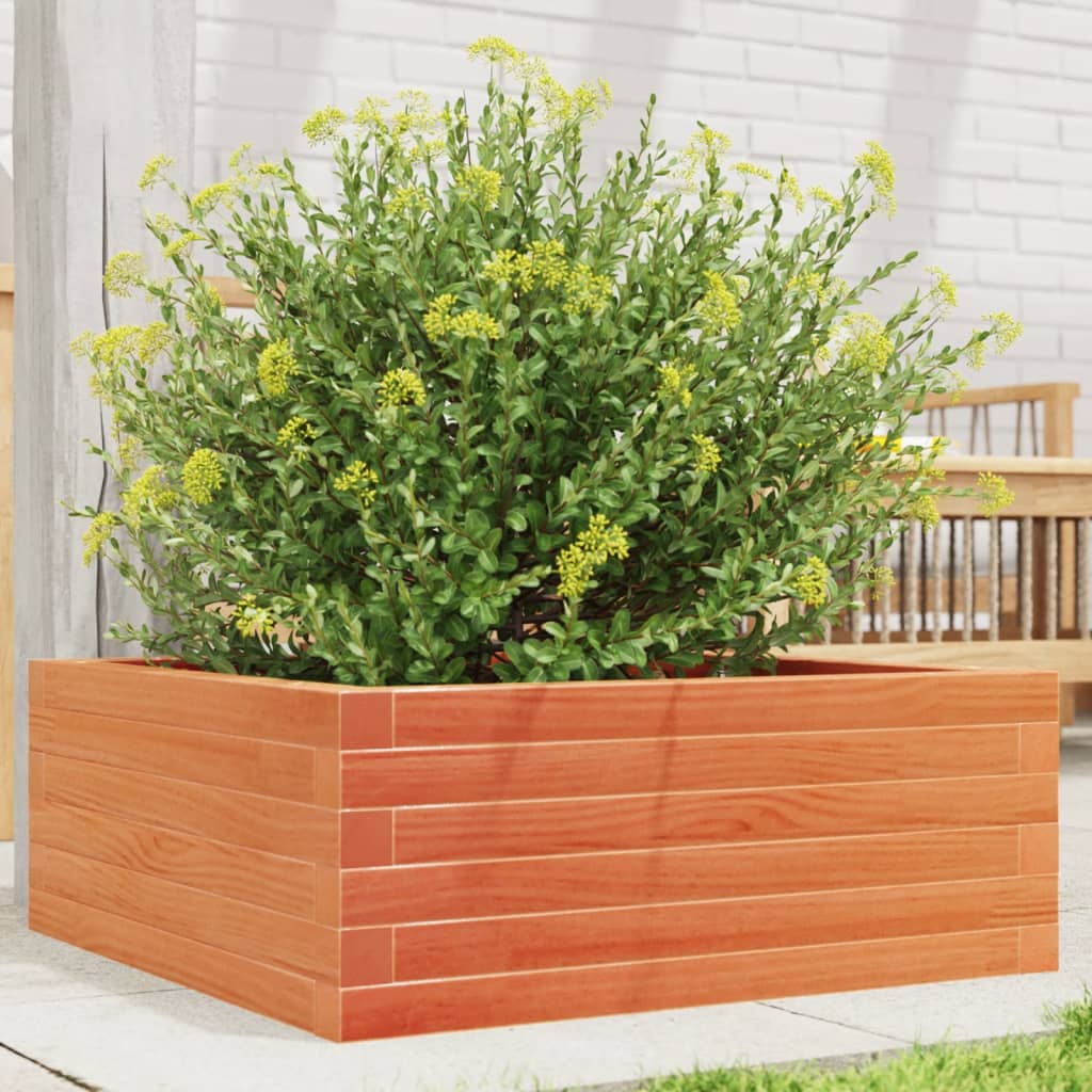 vidaXL plantekasse 60x60x23 cm massivt fyrretræ gyldenbrun vidaXL plantekasse 60x60x23 cm massivt fyrretræ gyldenbrun