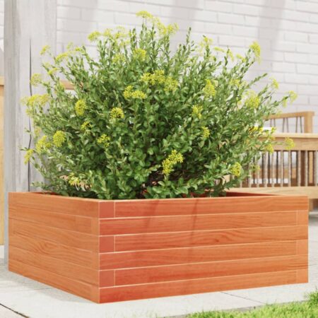 vidaXL plantekasse 60x60x23 cm massivt fyrretræ gyldenbrun