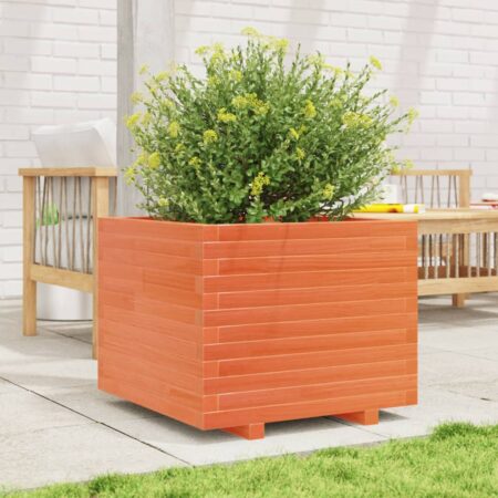 vidaXL plantekasse 60x60x49,5 cm massivt fyrretræ gyldenbrun