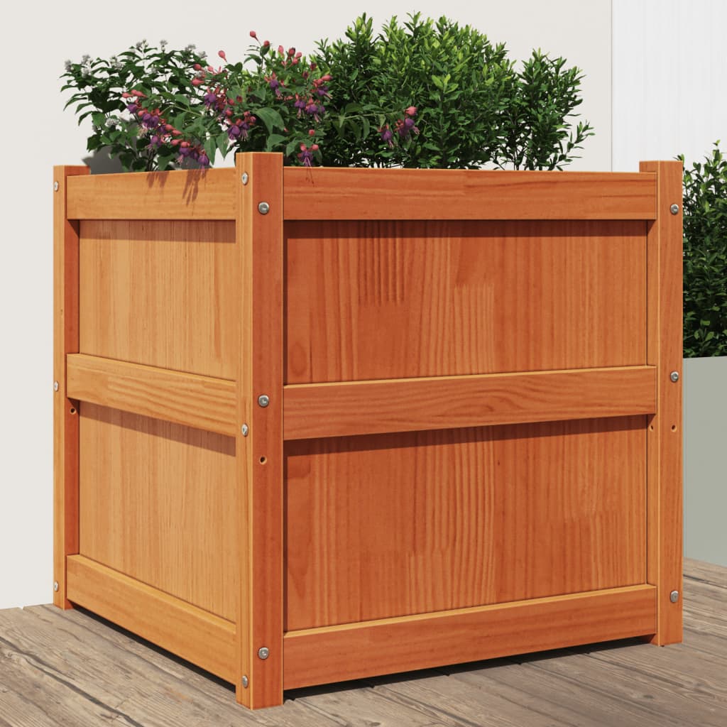 vidaXL plantekasse 60x60x60 cm massivt fyrretræ gyldenbrun vidaXL plantekasse 60x60x60 cm massivt fyrretræ gyldenbrun