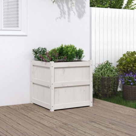 vidaXL plantekasse 60x60x60 cm massivt fyrretræ hvid