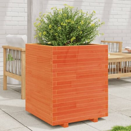 vidaXL plantekasse 60x60x72,5 cm massivt fyrretræ gyldenbrun