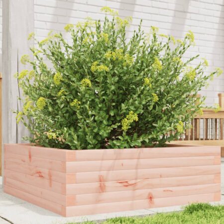 vidaXL plantekasse 70x70x23 cm massivt douglasgran