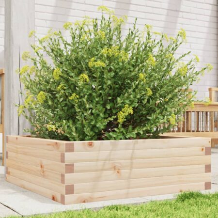 vidaXL plantekasse 70x70x23 cm massivt fyrretræ