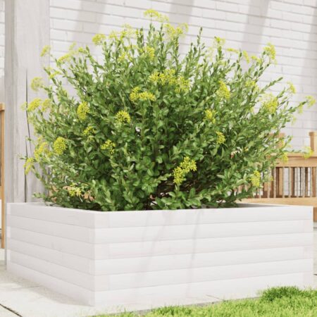 vidaXL plantekasse 70x70x23 cm massivt fyrretræ hvid