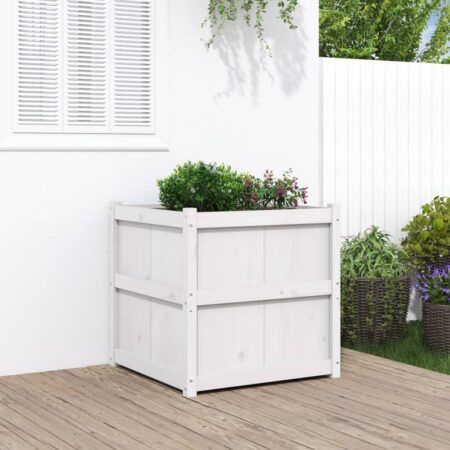 vidaXL plantekasse 70x70x70 cm massivt fyrretræ hvid