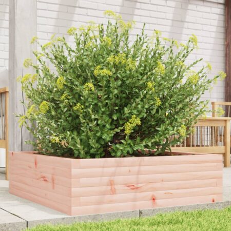 vidaXL plantekasse 80x80x23 cm massivt douglasgran
