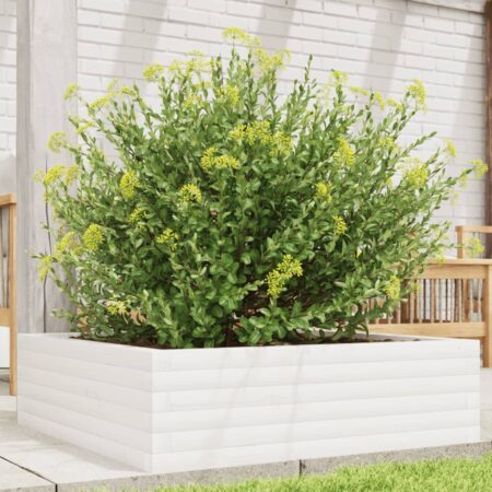 vidaXL plantekasse 80x80x23 cm massivt fyrretræ hvid