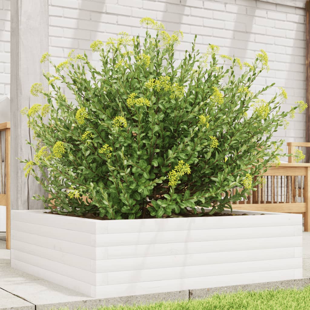 vidaXL plantekasse 80x80x23 cm massivt fyrretræ hvid vidaXL plantekasse 80x80x23 cm massivt fyrretræ hvid