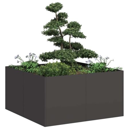 vidaXL plantekasse 80x80x40 cm koldvalset stål sort