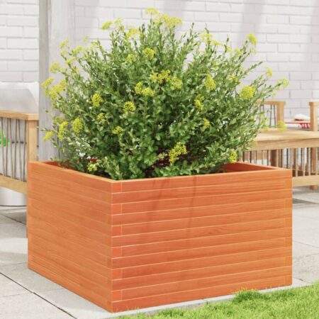 vidaXL plantekasse 80x80x46 cm massivt fyrretræ gyldenbrun