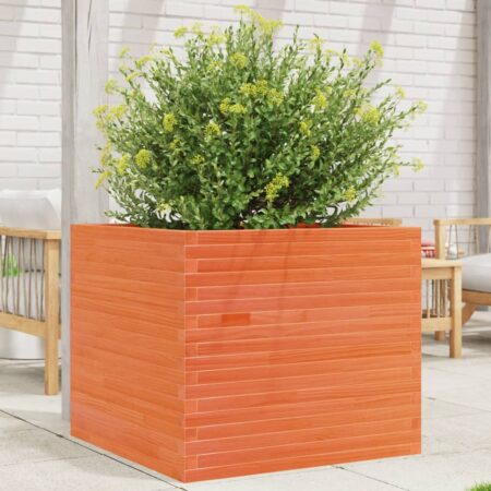 vidaXL plantekasse 80x80x68,5 cm massivt fyrretræ gyldenbrun