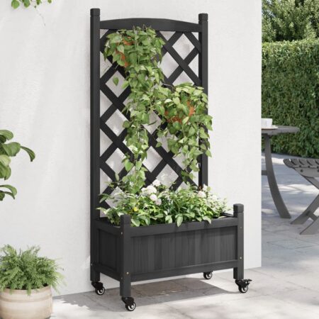 vidaXL plantekasse med espalier og hjul massivt fyrretræ sort