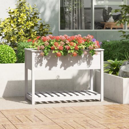 vidaXL plantekasse med hylde 111,5x54x81 cm massivt fyrretræ hvid