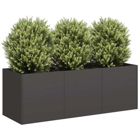 vidaXL plantekasse sort 120x40x40 cm koldvalset stål