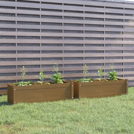 vidaXL plantekasser 2 stk. 100x31x31 cm massivt fyrretræ gyldenbrun