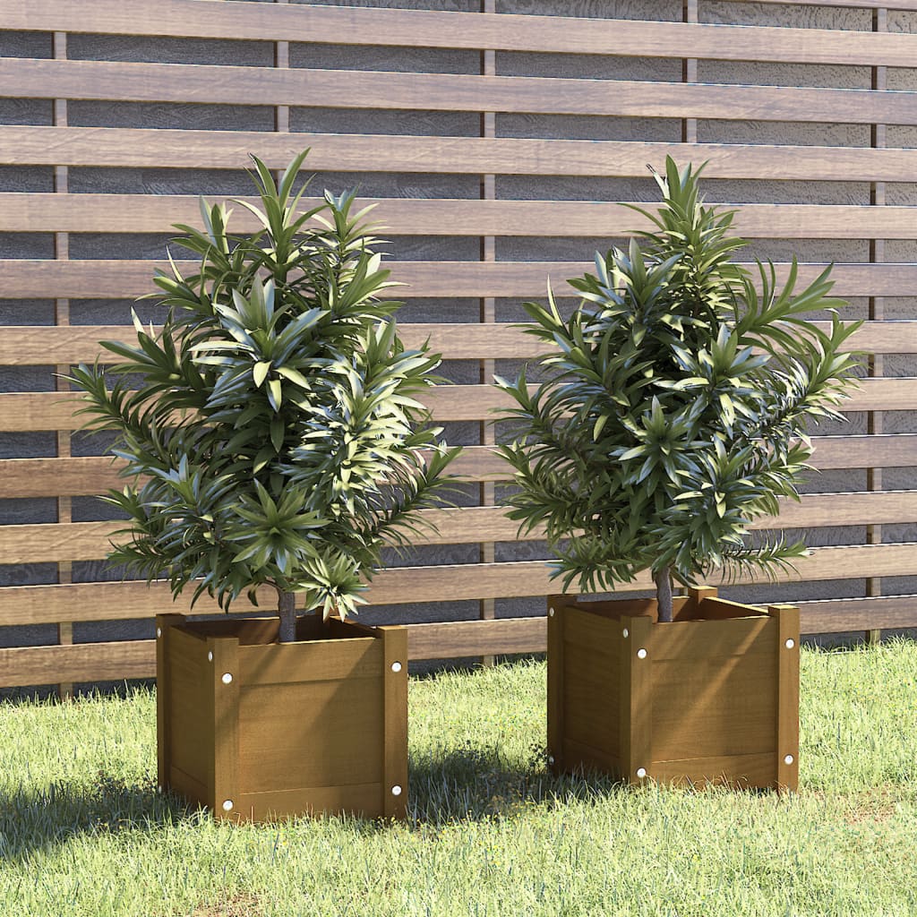 vidaXL plantekasser 2 stk. 31x31x31 cm massivt fyrretræ gyldenbrun vidaXL plantekasser 2 stk. 31x31x31 cm massivt fyrretræ gyldenbrun
