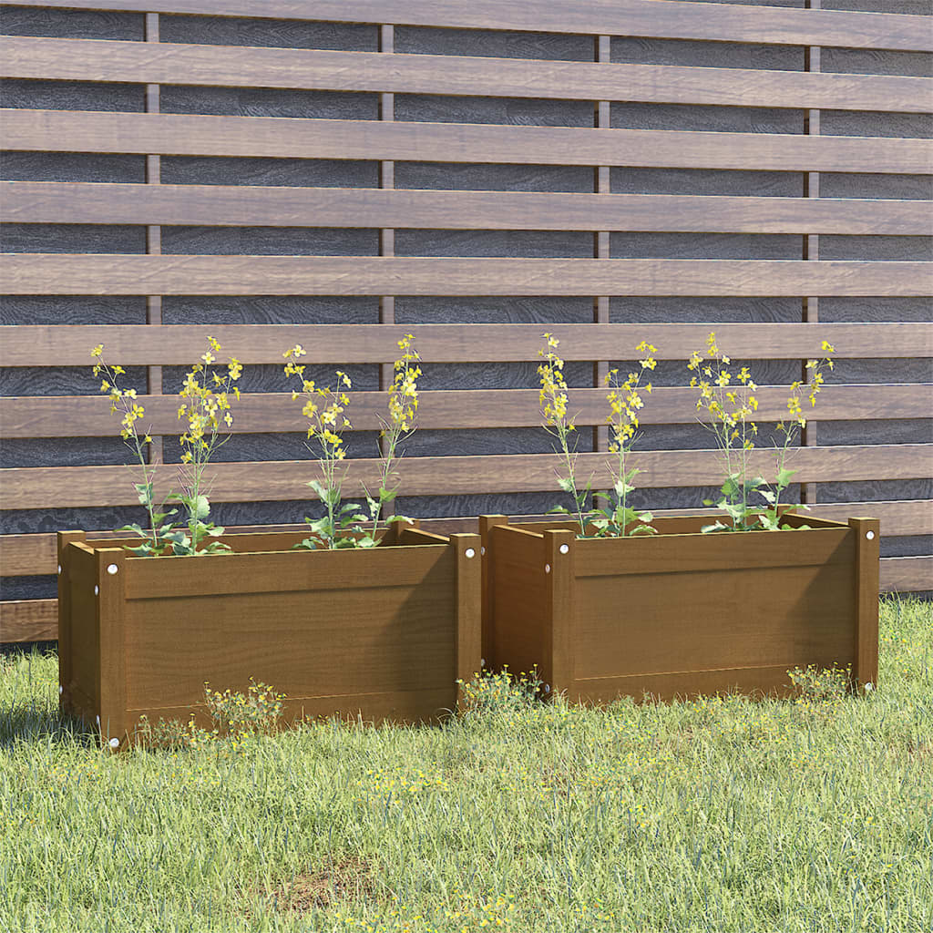 vidaXL plantekasser 2 stk. 60x31x31 cm massivt fyrretræ gyldenbrun vidaXL plantekasser 2 stk. 60x31x31 cm massivt fyrretræ gyldenbrun