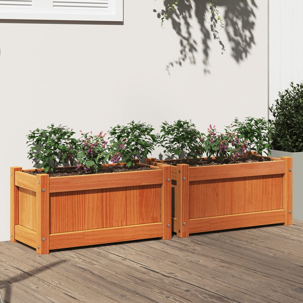 vidaXL plantekasser 2 stk. massivt fyrretræ gyldenbrun vidaXL plantekasser 2 stk. massivt fyrretræ gyldenbrun