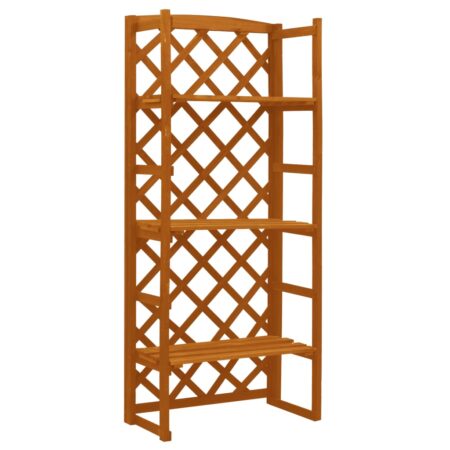 vidaXL plantestativ med espalier 60x30x140 cm massivt fyrretræ orange
