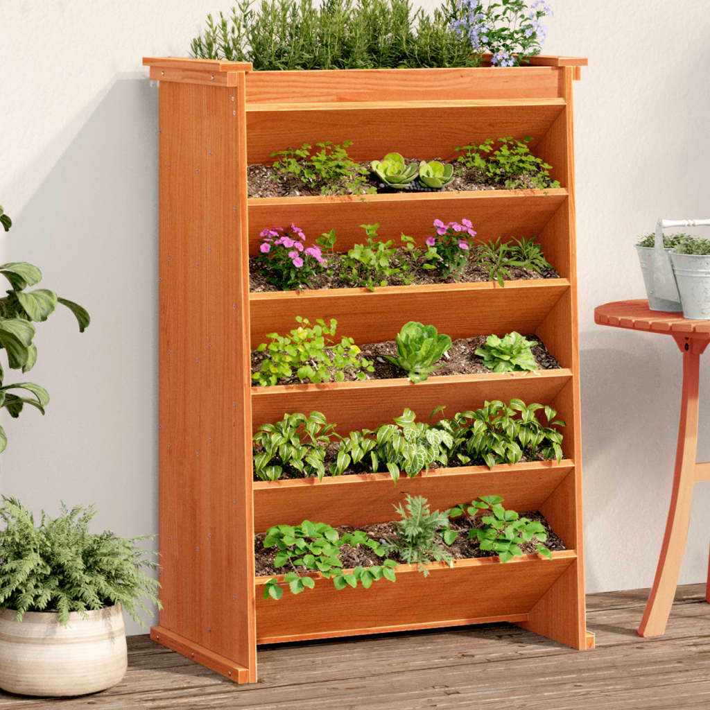 vidaXL plantevæg 69x40x101,5 cm 6 niveauer massivt fyrretræ gyldenbrun vidaXL plantevæg 69x40x101,5 cm 6 niveauer massivt fyrretræ gyldenbrun